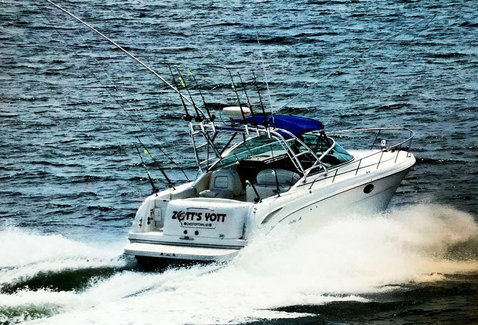 ZOTT S YOTT 29ft Sea Ray Yacht For Sale