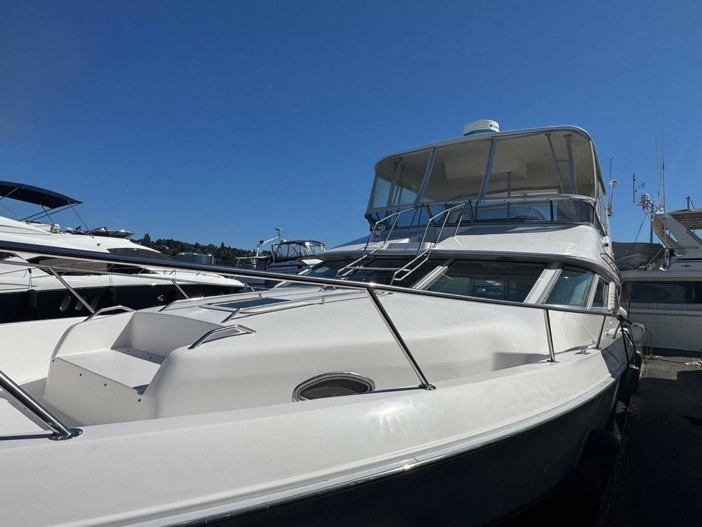 PEARL 44ft Sea Ray Yacht For Sale