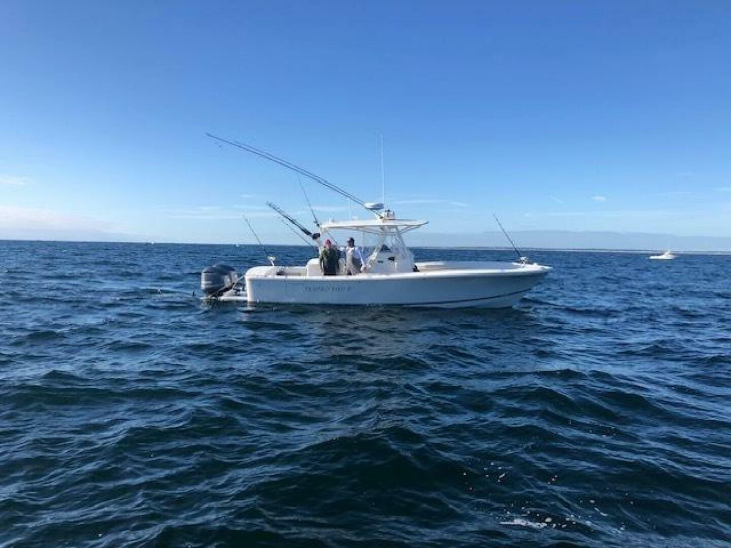 31ft Regulator Yacht For Sale