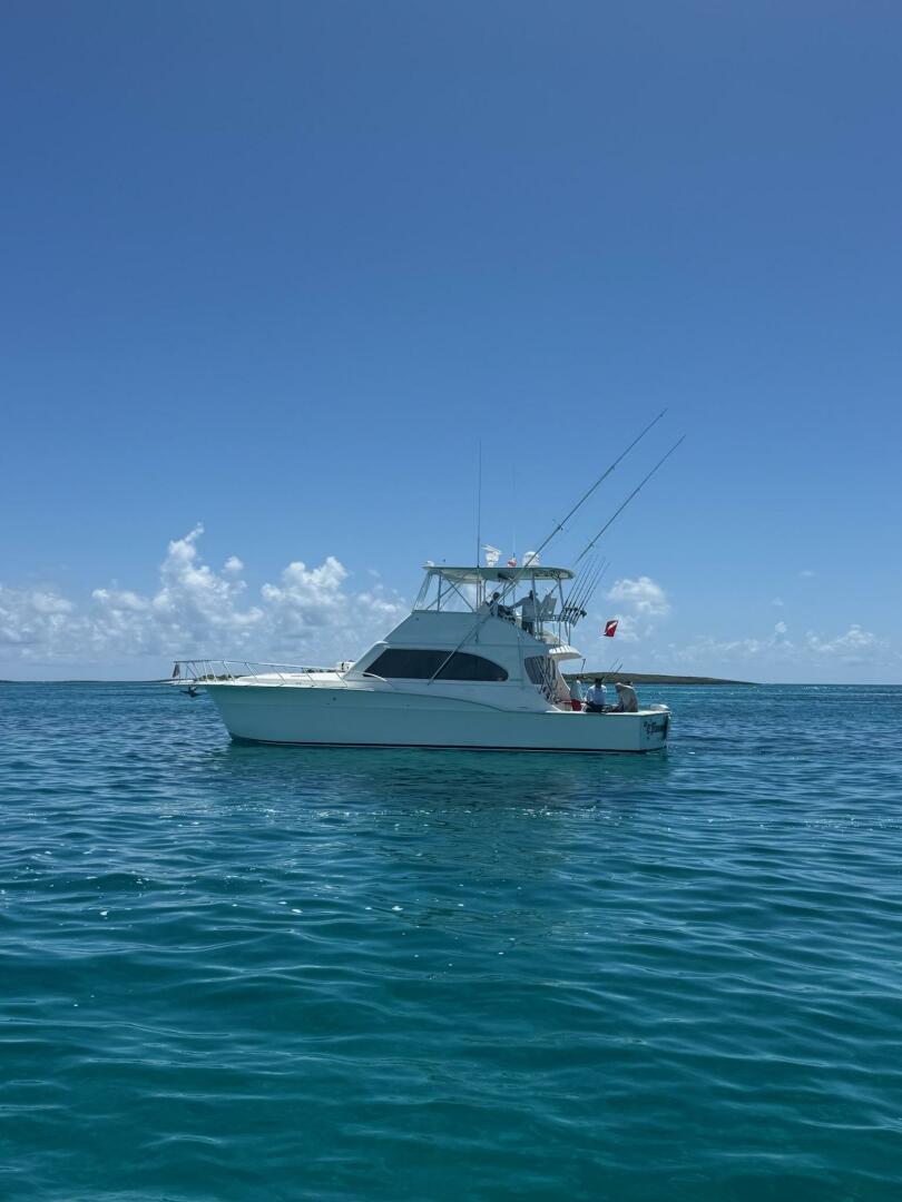 HAMMERTIME 48ft Cavileer Yacht For Sale