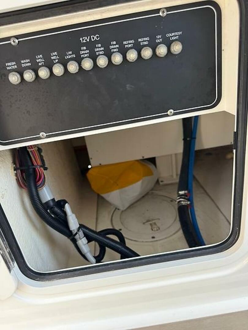 0005365776