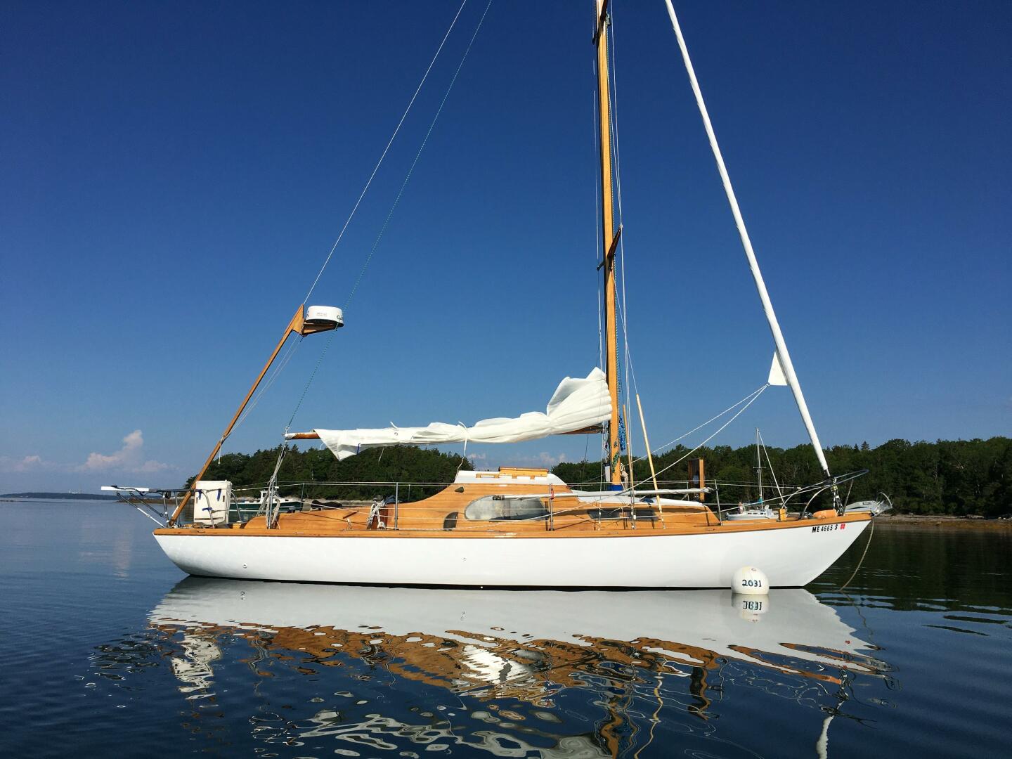 30ft Van De Stadt Yacht For Sale