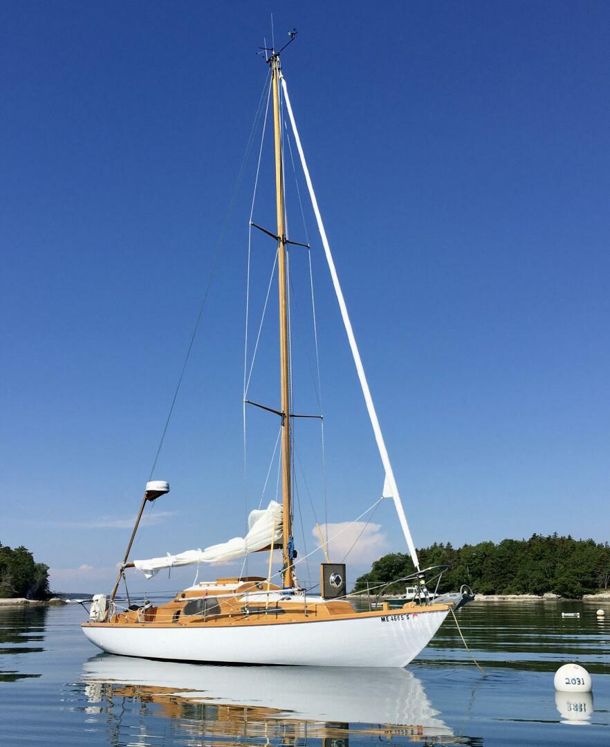 30ft Van De Stadt Yacht For Sale
