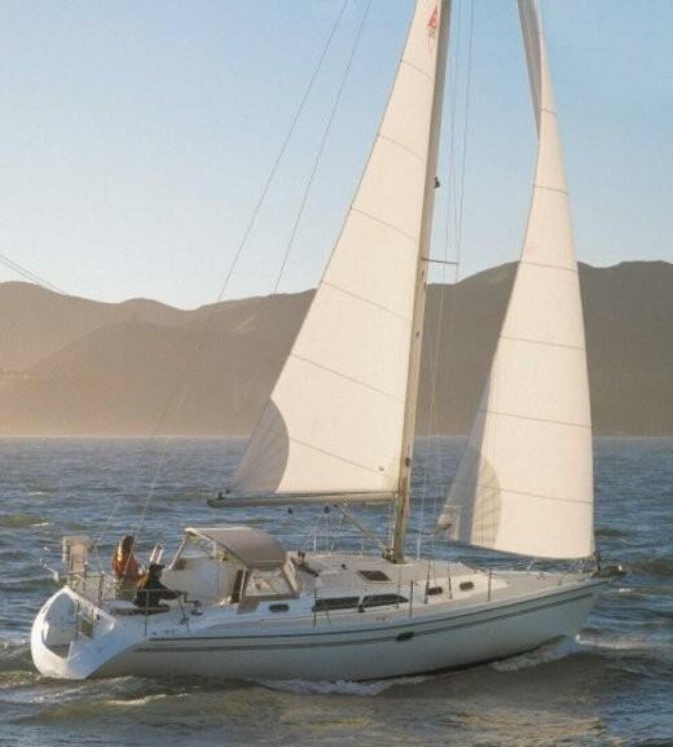Just Cause 36ft Catalina Yacht For Sale