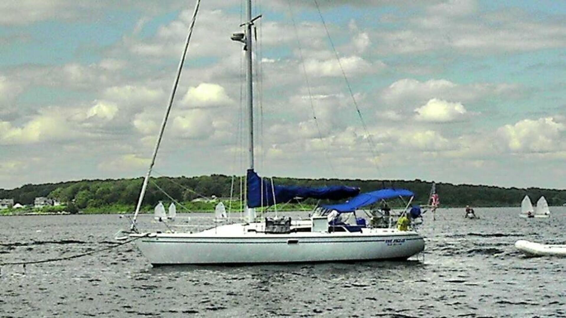 Snow Bird 36ft Catalina Yacht For Sale