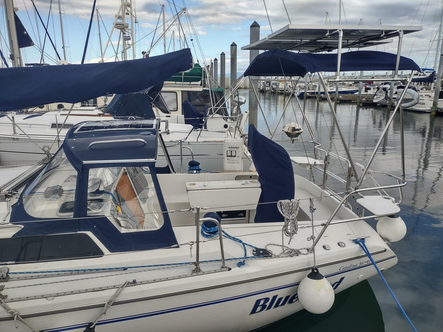 BLUEBIRD 36ft Catalina Yacht For Sale