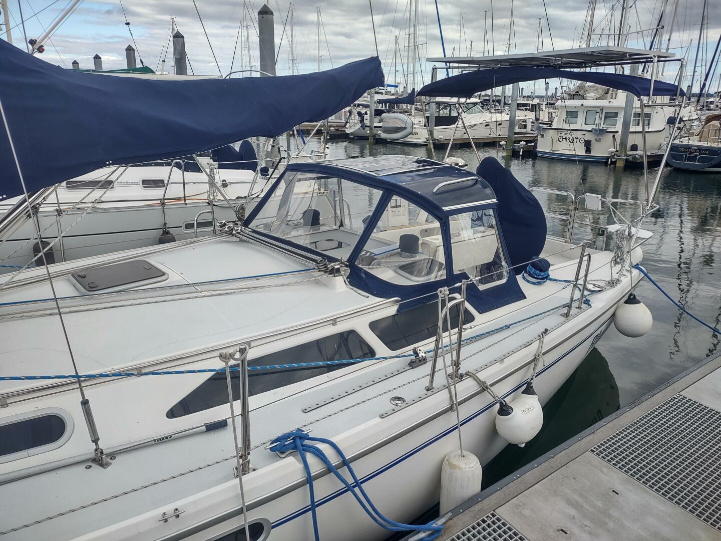 BLUEBIRD 36ft Catalina Yacht For Sale