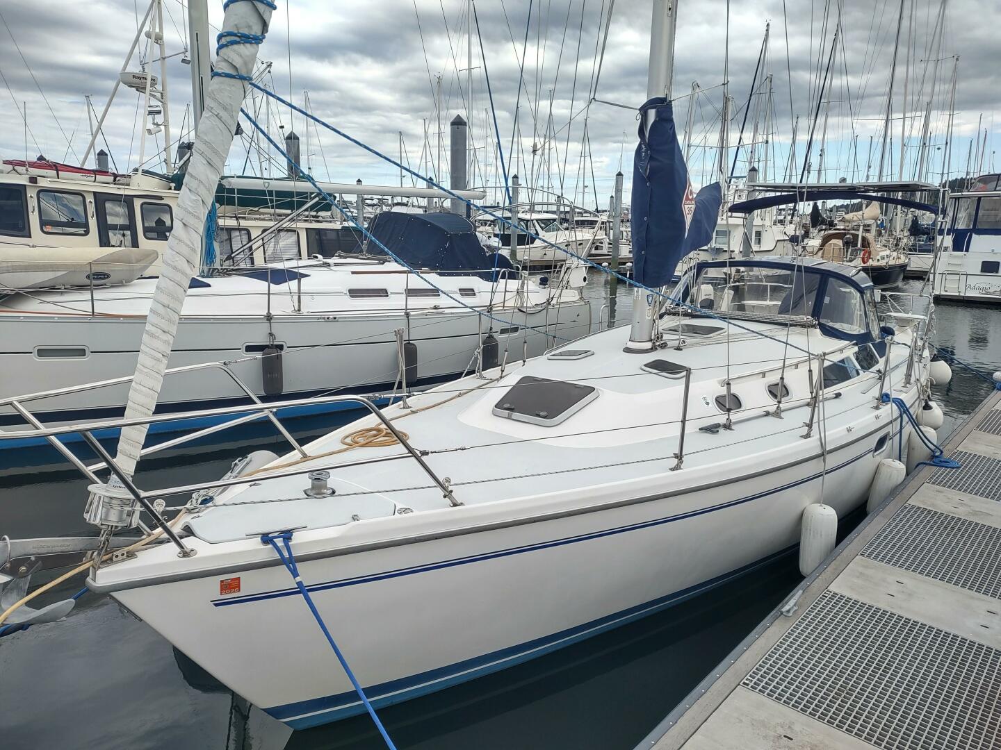 BLUEBIRD 36ft Catalina Yacht For Sale