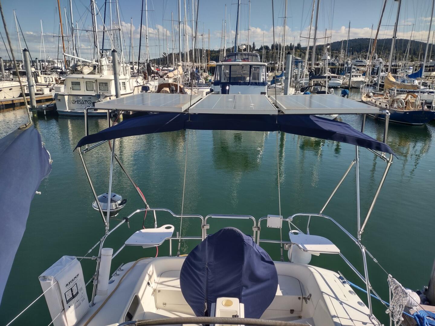 BLUEBIRD 36ft Catalina Yacht For Sale