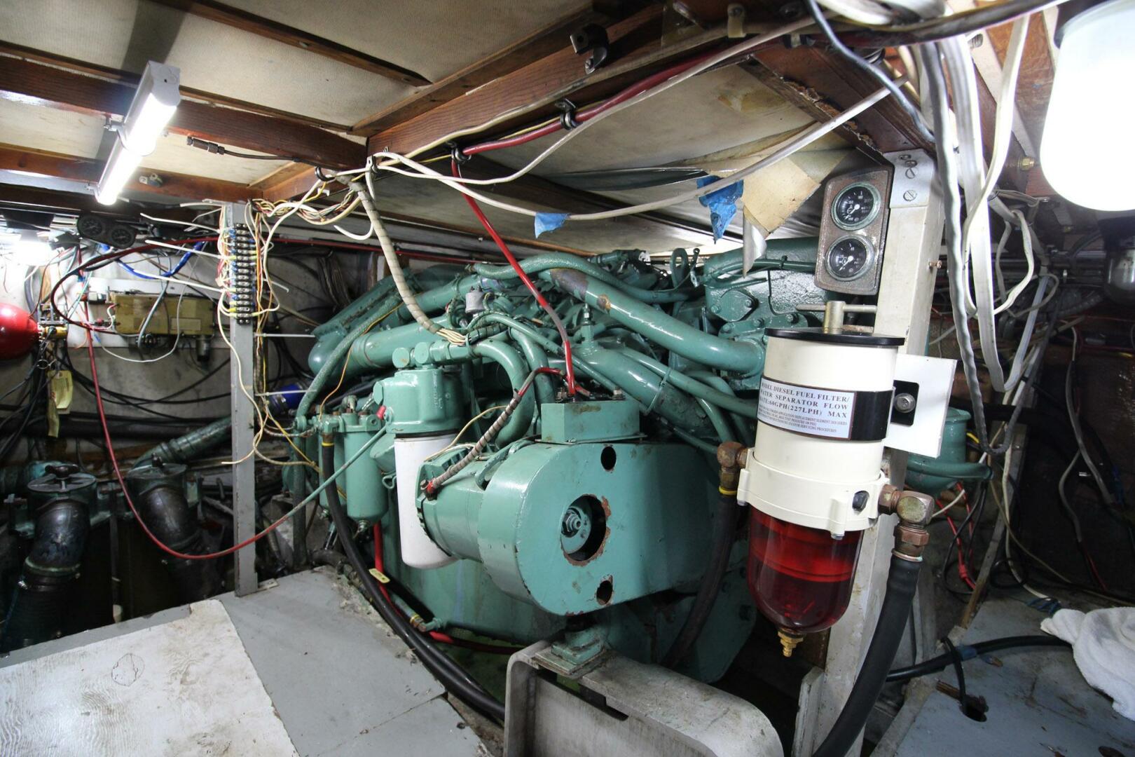 Forever and Always 42ft Bertram Yacht For Sale