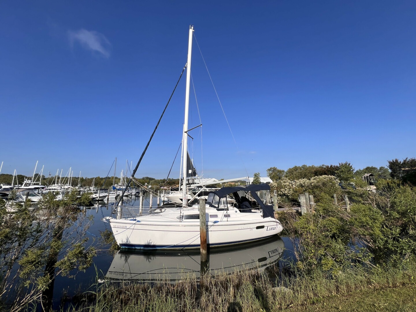 Luna 31ft Hunter Yacht For Sale