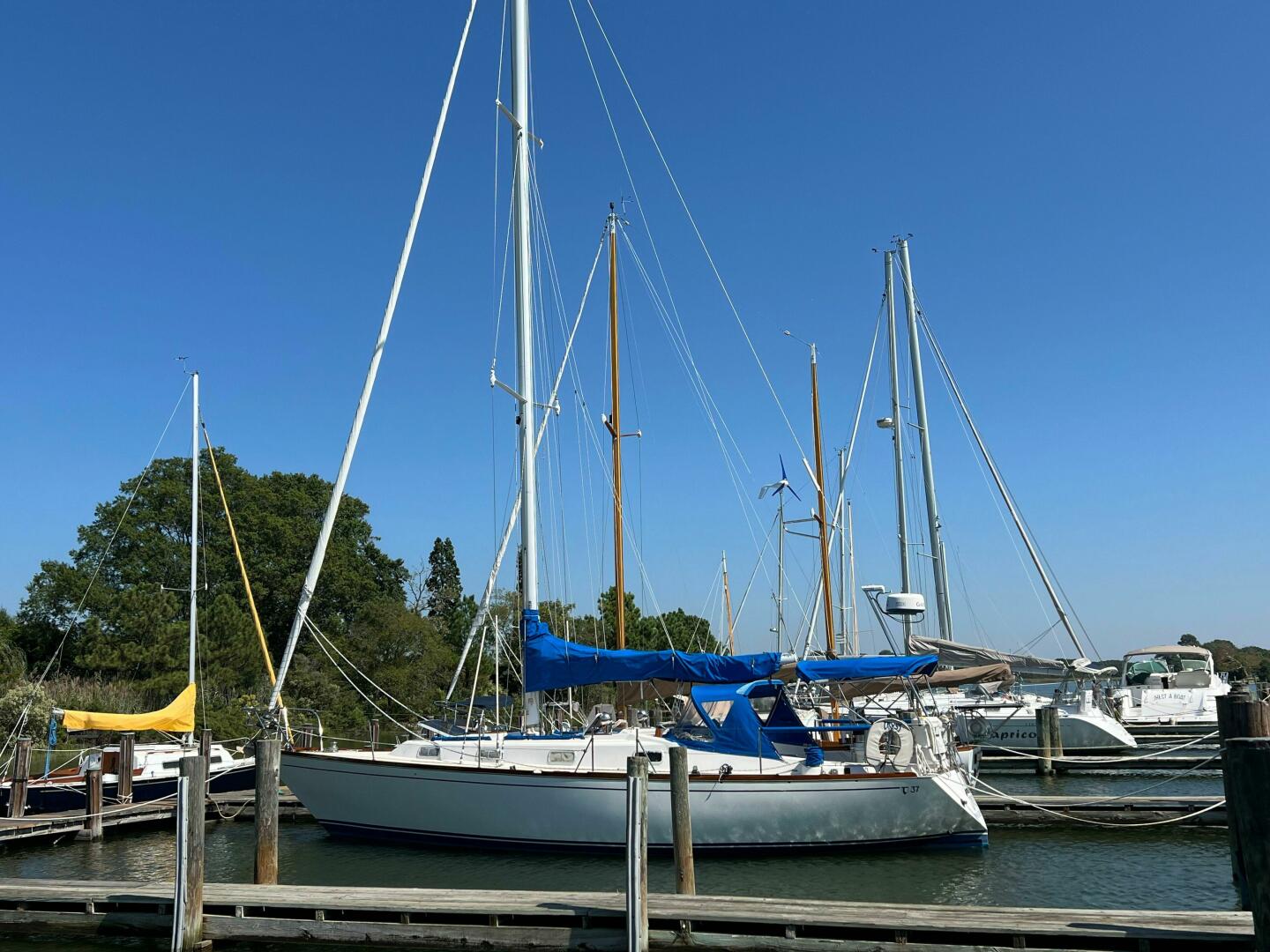 Tryst 37ft Tartan Yacht For Sale