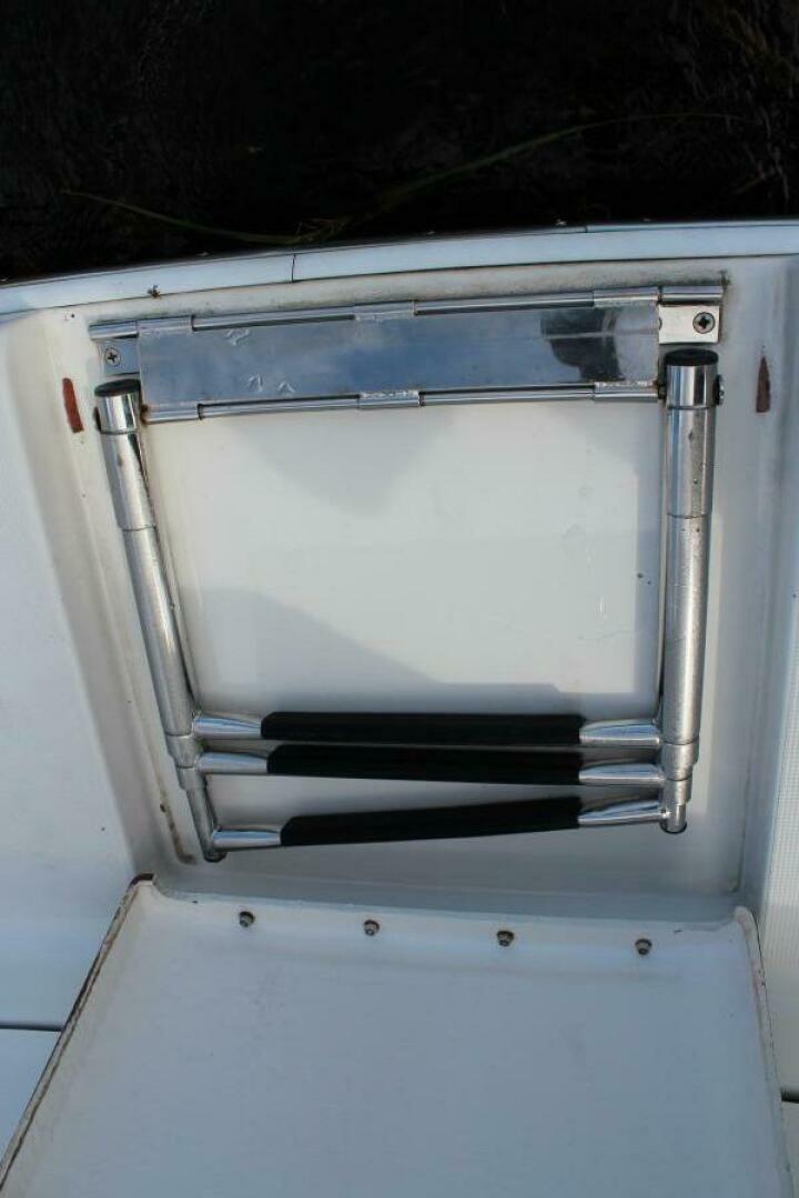 Swim Ladder