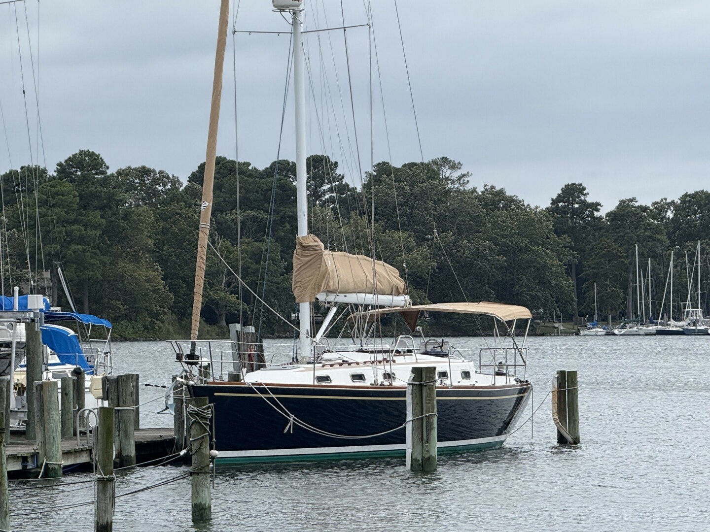 Vessel Image #1