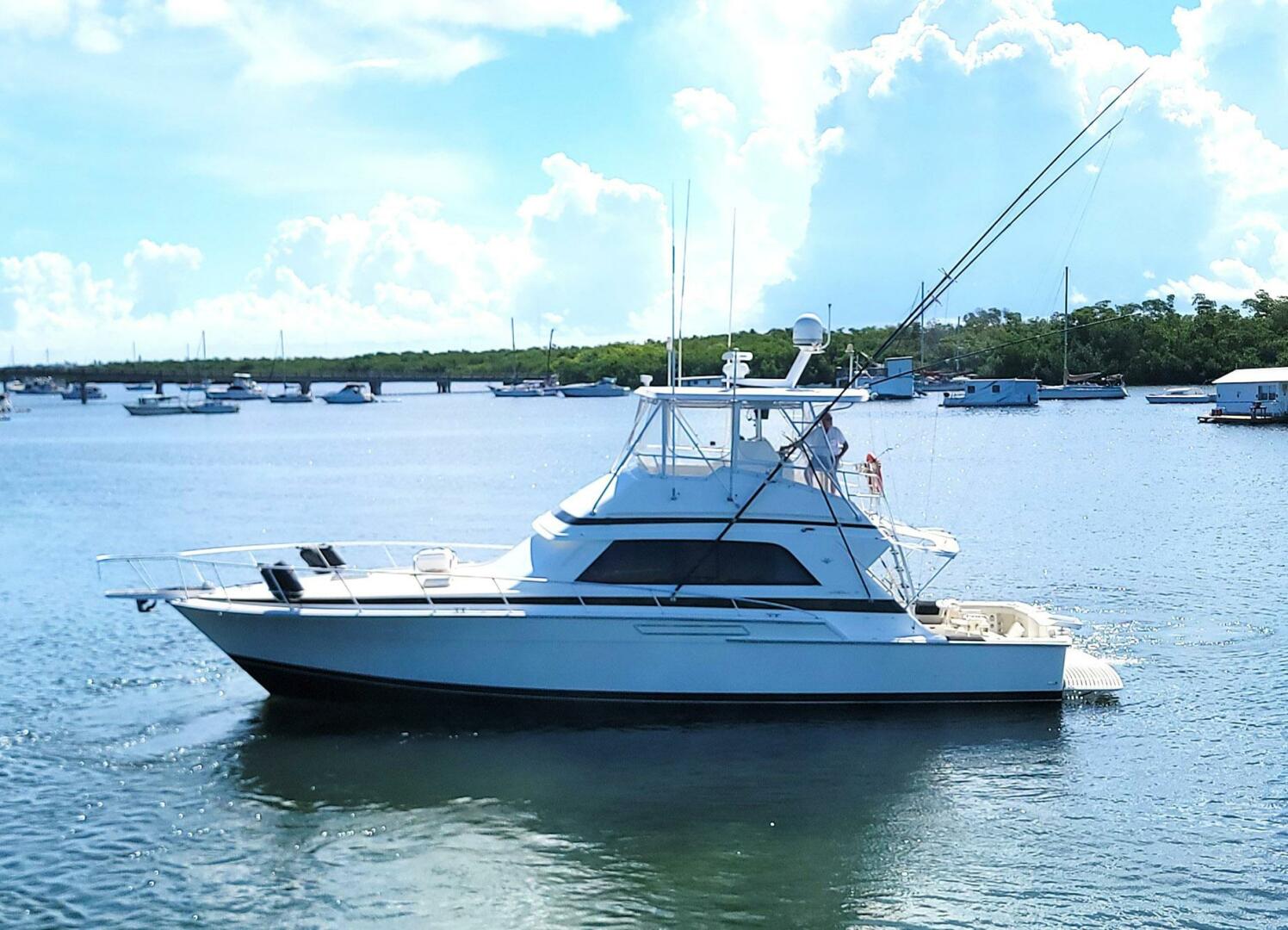 Trophy Hunter 50ft Bertram Yacht For Sale