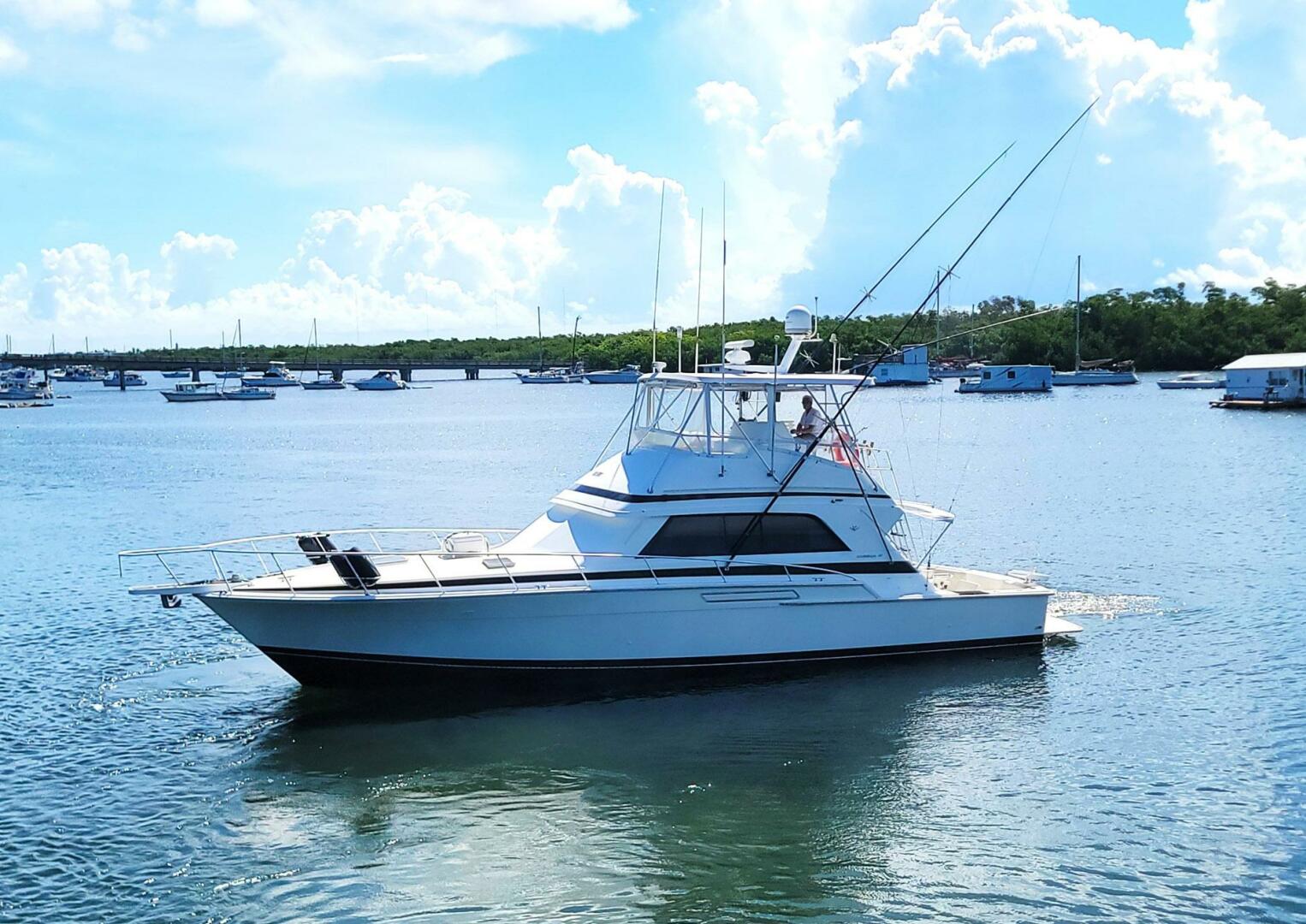 Trophy Hunter 50ft Bertram Yacht For Sale