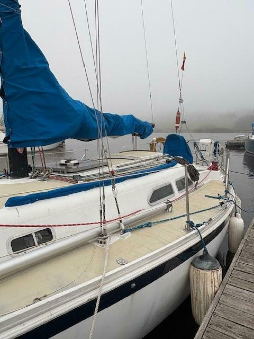 Vessel Image #4
