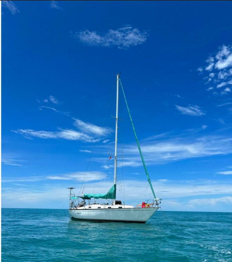 Cloudburst 37ft Tartan Yacht For Sale Cloudburst 37ft Tartan Yacht For Sale