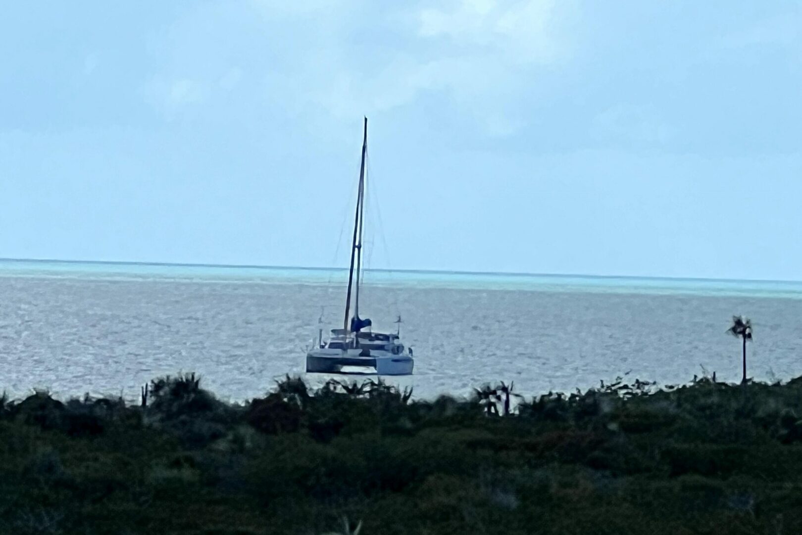 44ft Dolphin Yacht For Sale 44ft Dolphin Yacht For Sale