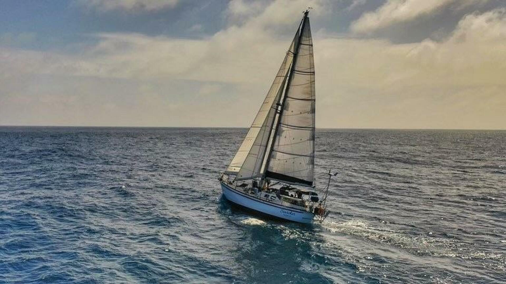 Searcher 42ft Tayana Yacht For Sale