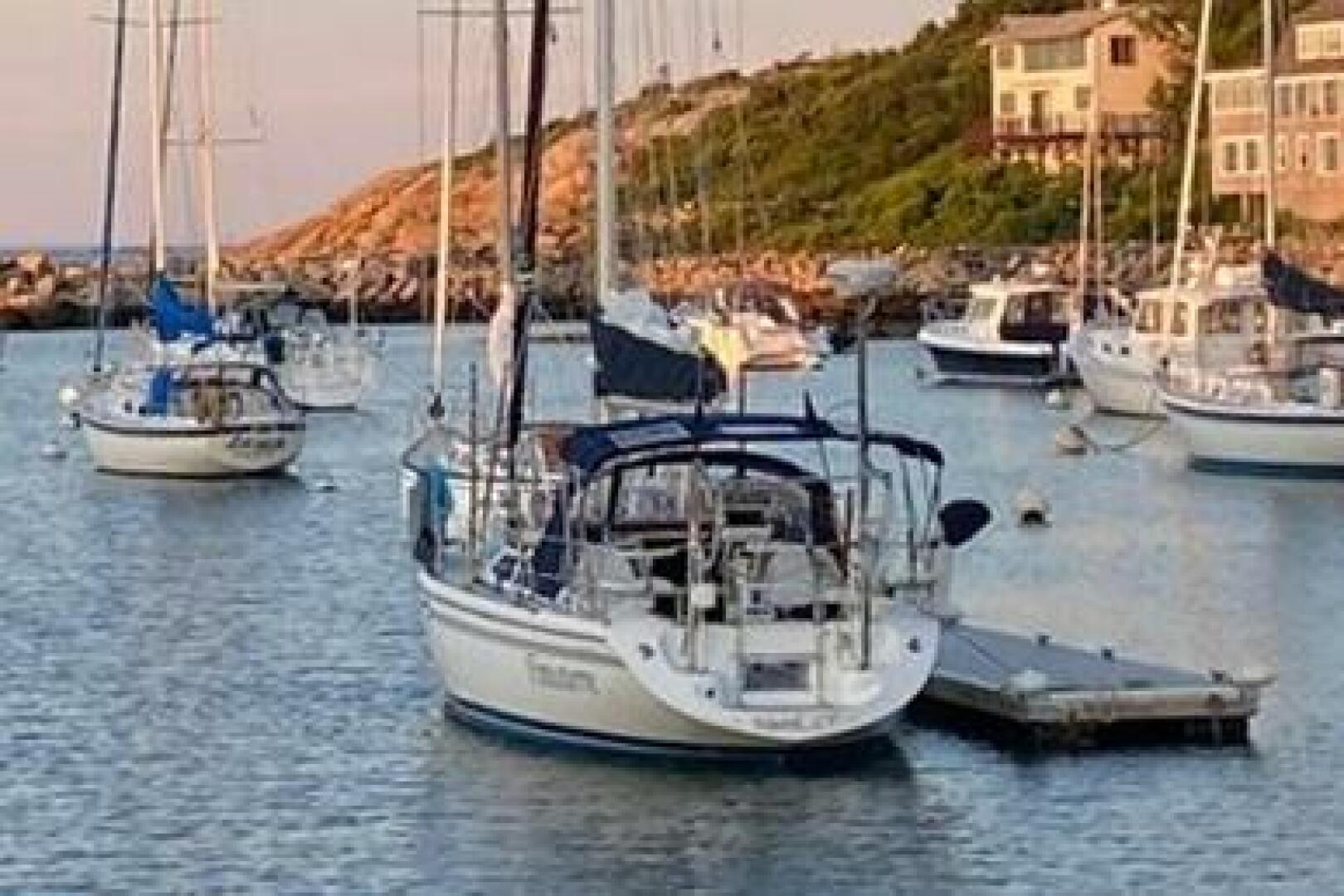 Finisterre 36ft Catalina Yacht For Sale