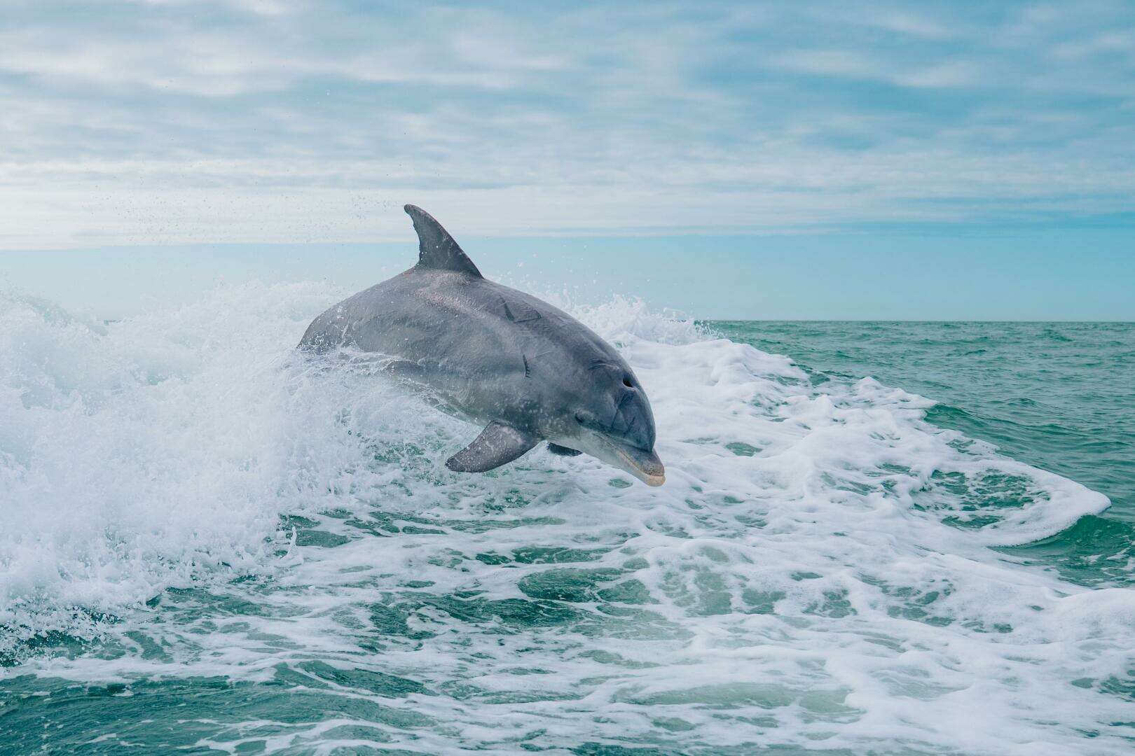 Tiara Sport 38 LS Yacht For Sale