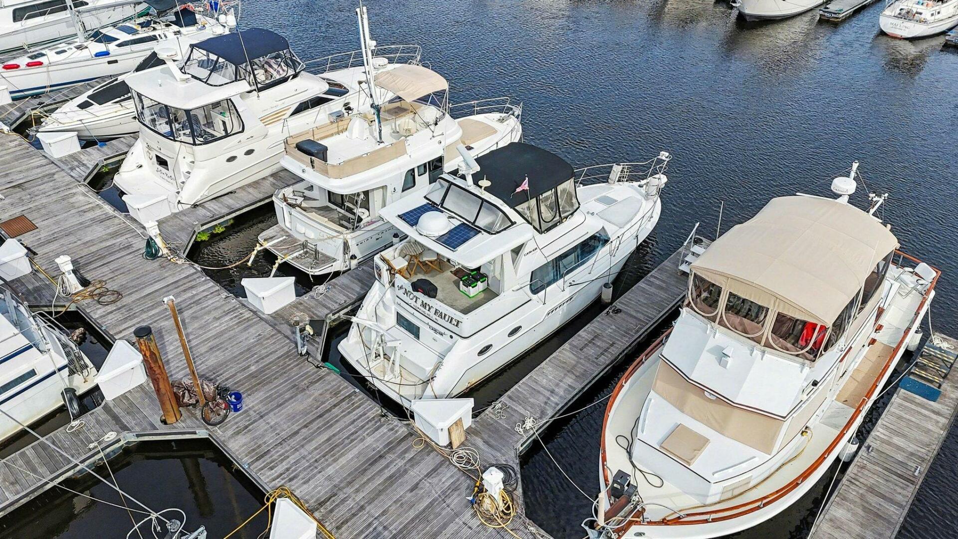 Still Not My Fault 39ft Carver Yacht For Sale Still Not My Fault 39ft Carver Yacht For Sale