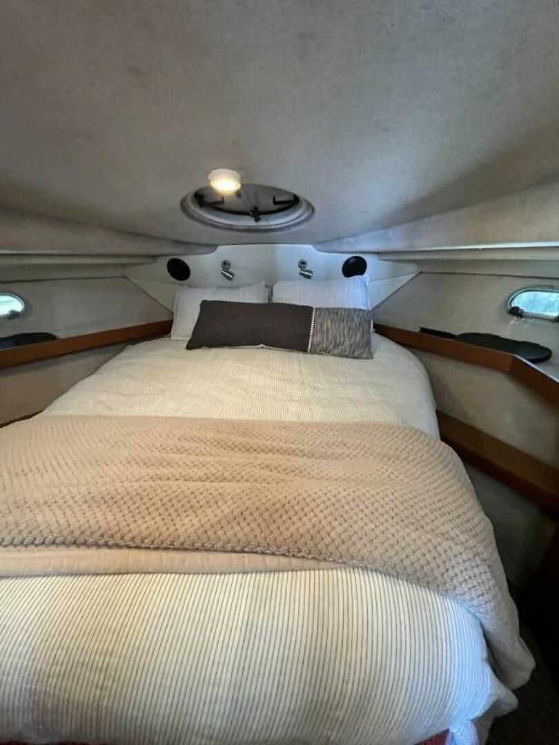 Wicked Twisted Road 37ft Bayliner Yacht For Sale