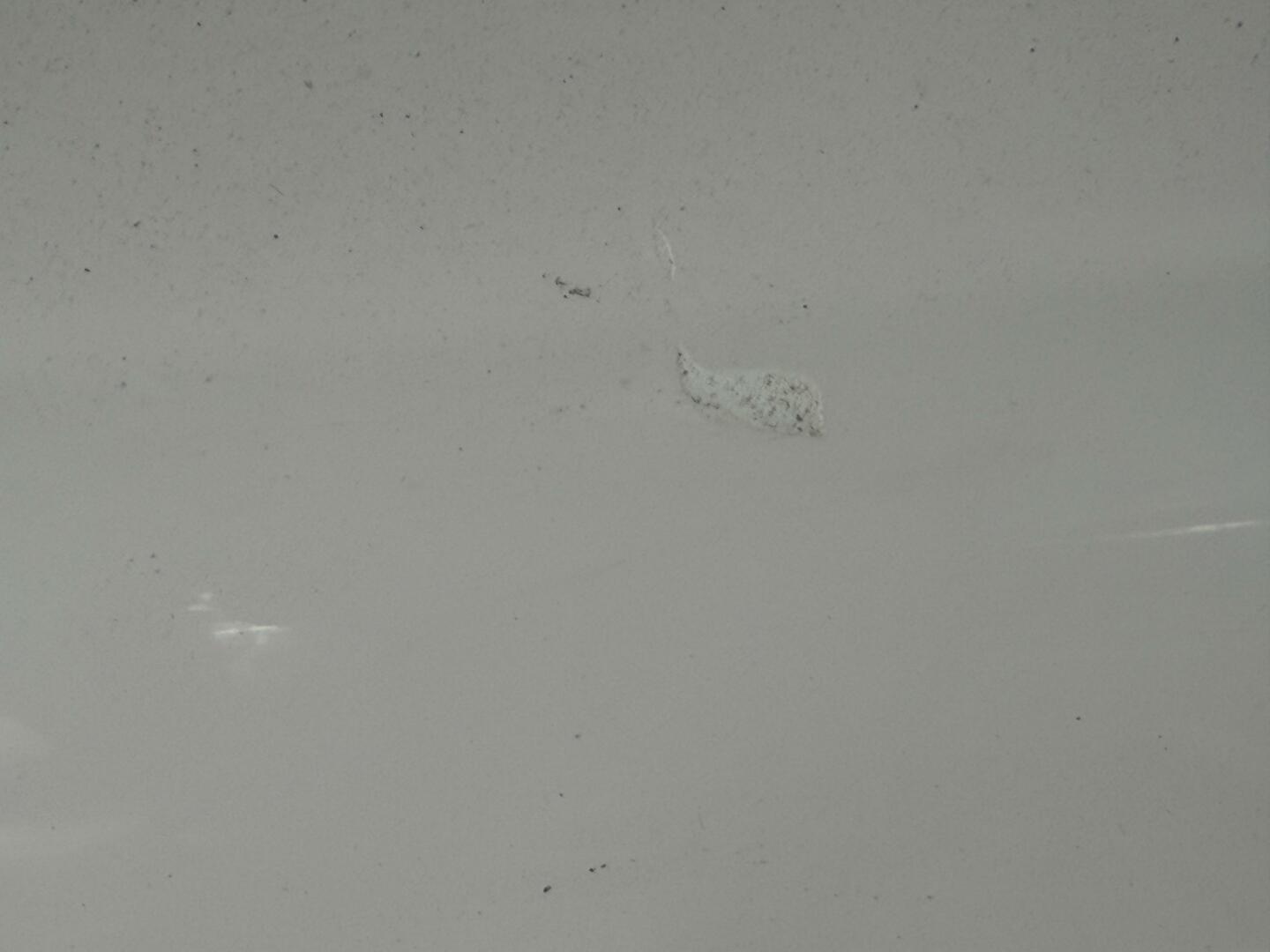 21ft Correct Craft Yacht For Sale 21ft Correct Craft Yacht For Sale