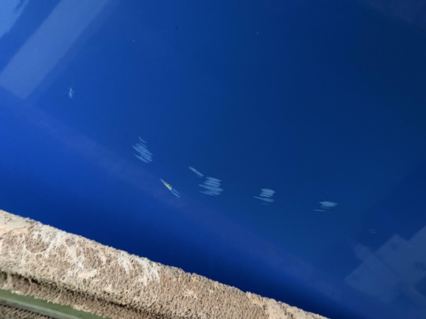 21ft Correct Craft Yacht For Sale 21ft Correct Craft Yacht For Sale