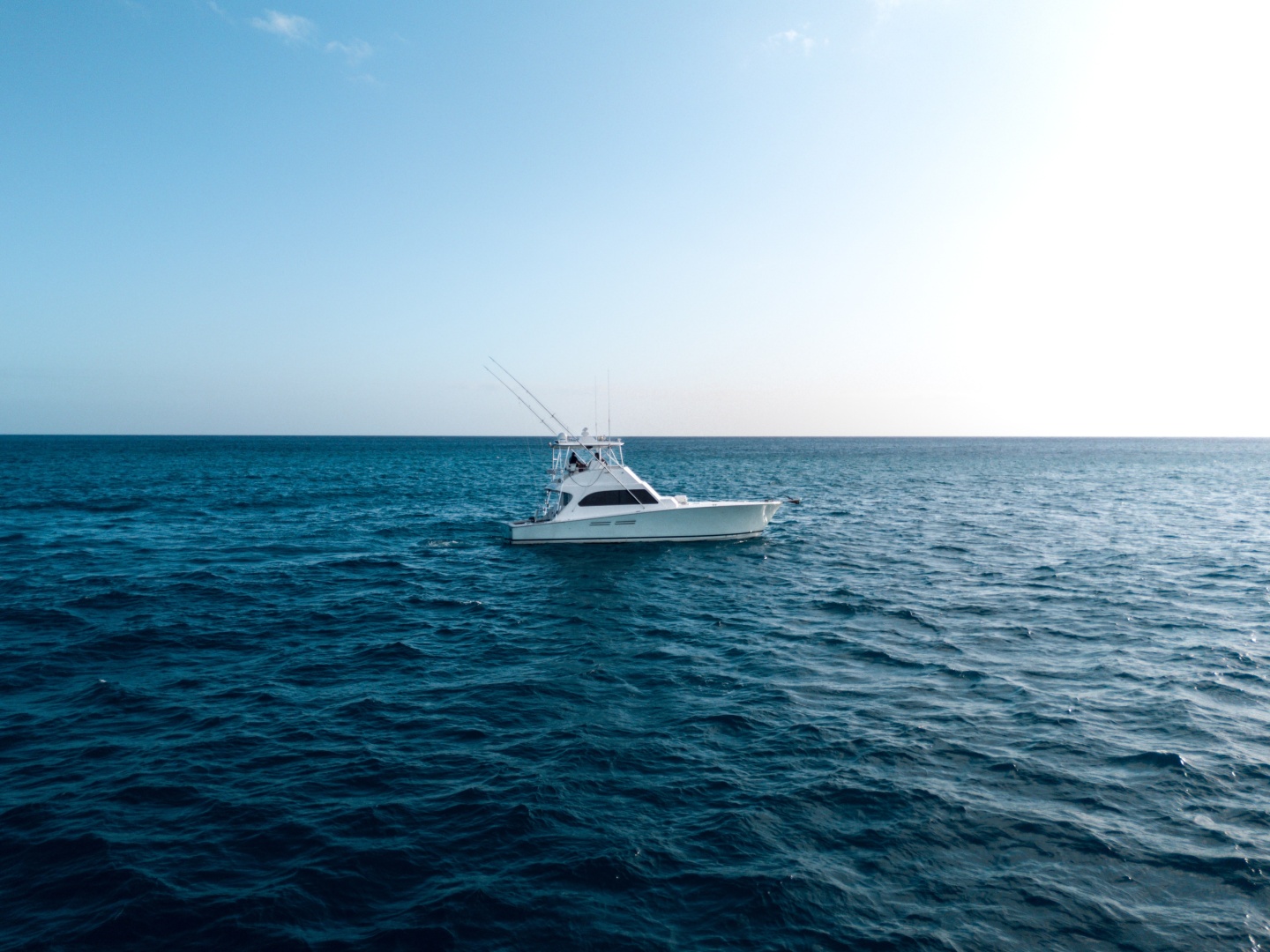 50ft Commercial Yacht For Sale