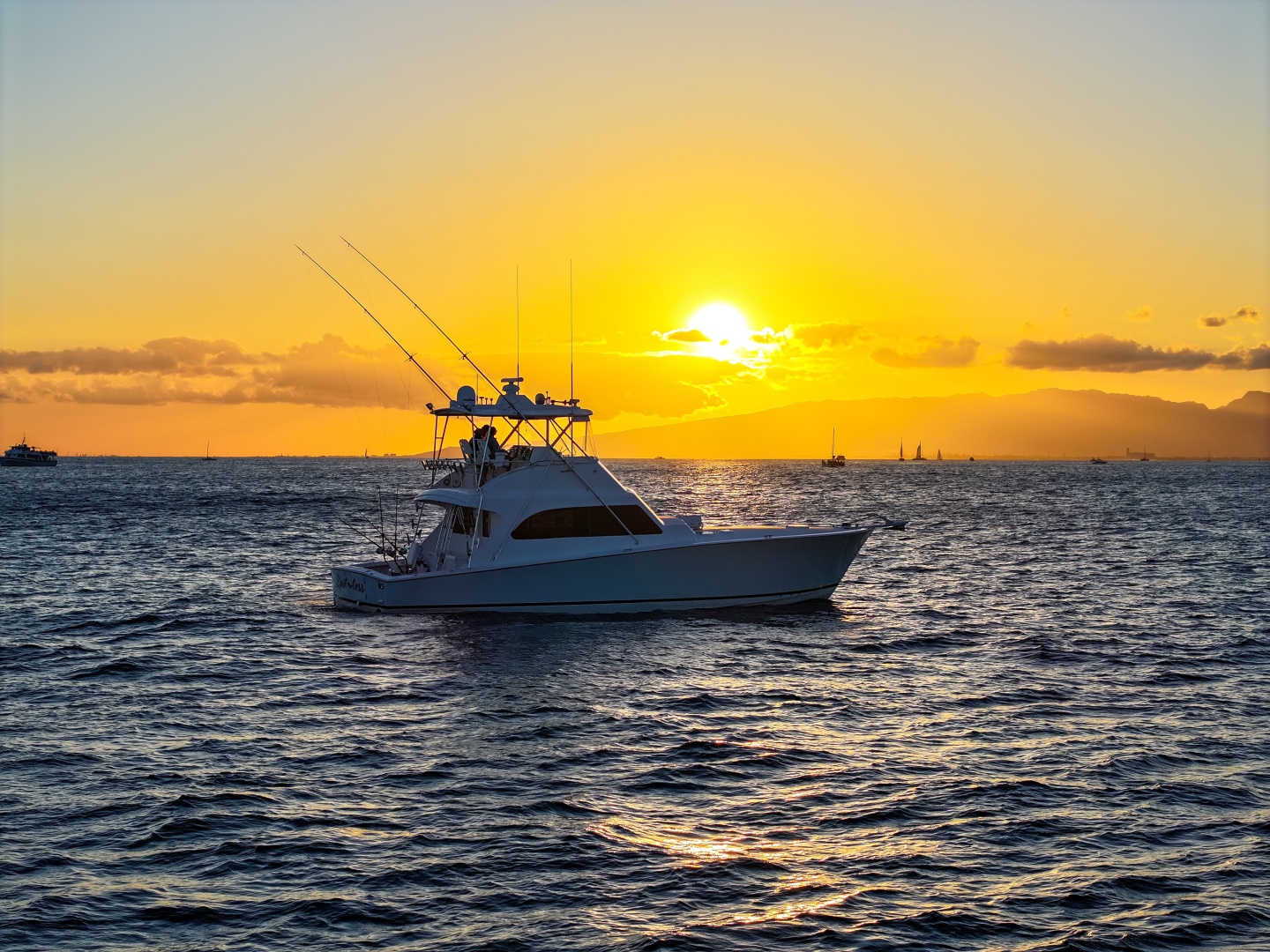 50ft Commercial Yacht For Sale