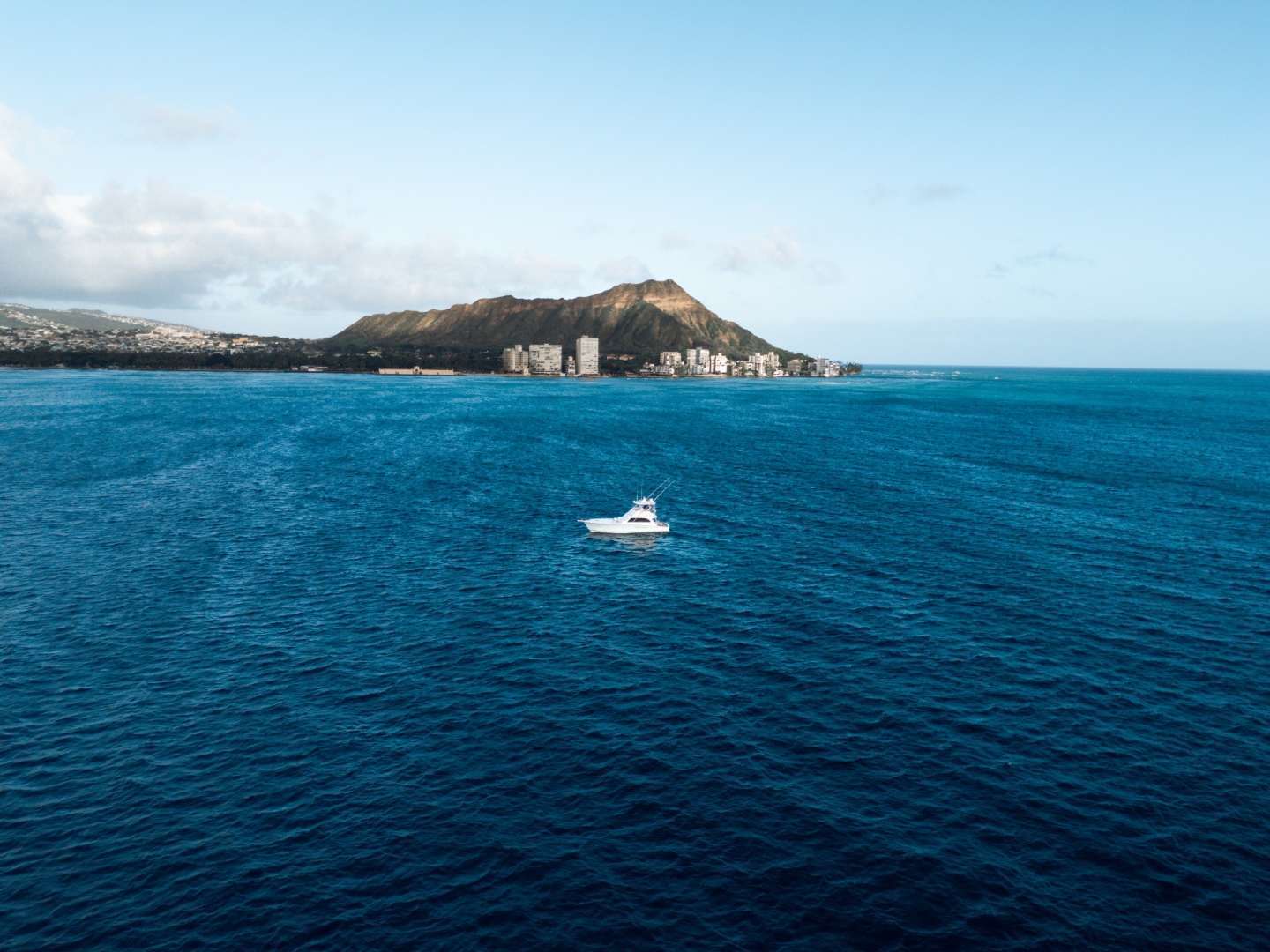 50ft Commercial Yacht For Sale