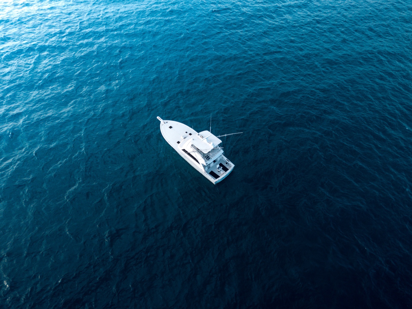 50ft Commercial Yacht For Sale