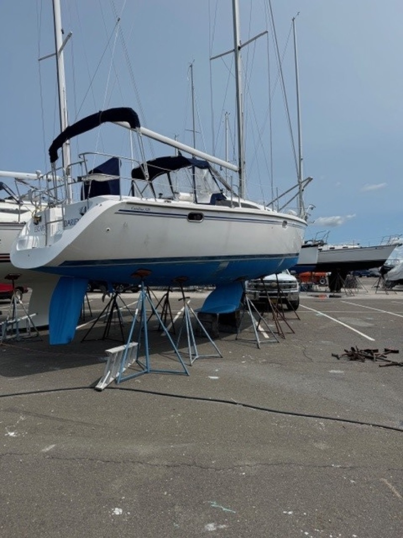 2006 Catalina 320