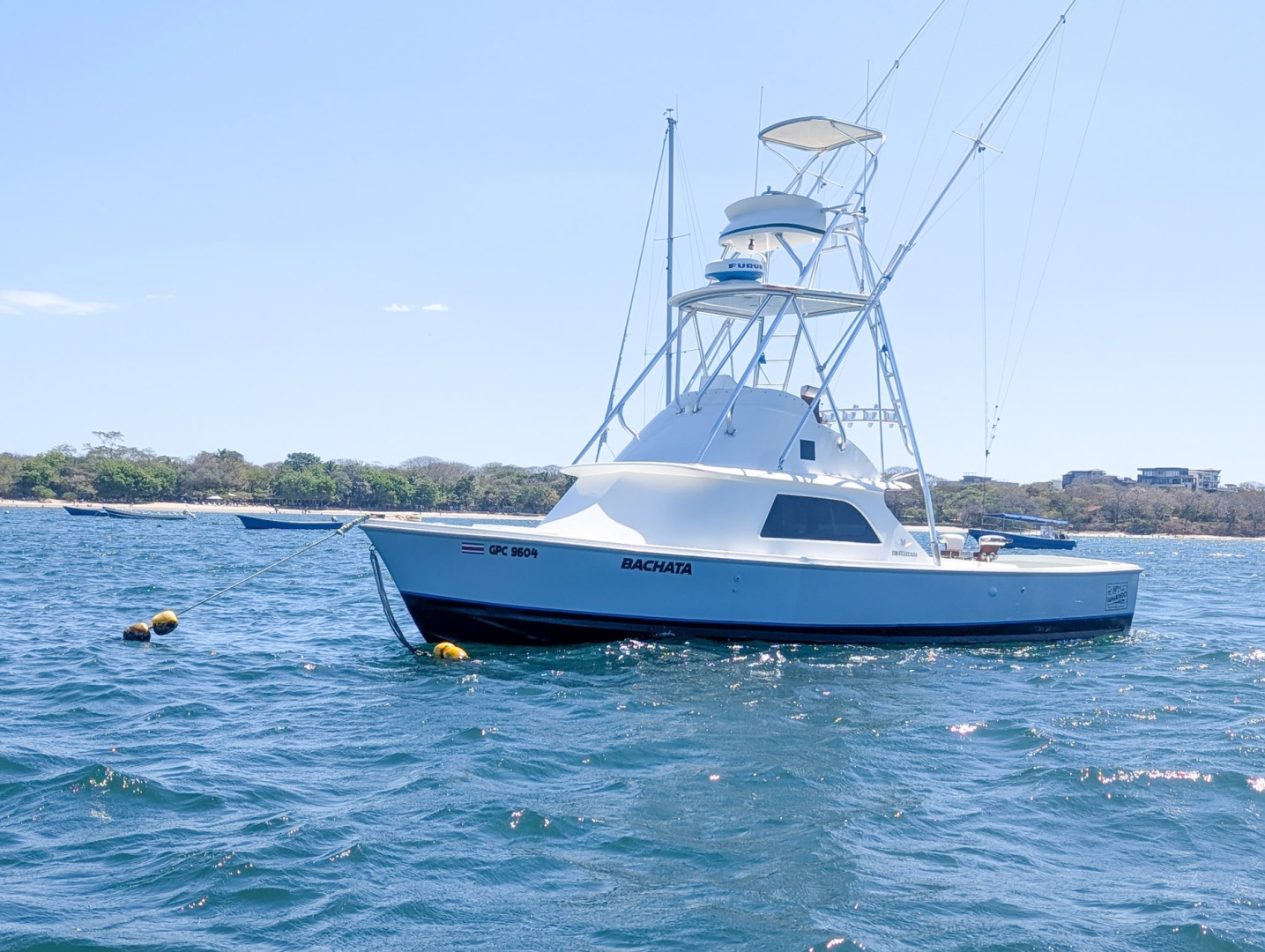 Bachata 31ft Bertram Yacht For Sale Bachata 31ft Bertram Yacht For Sale