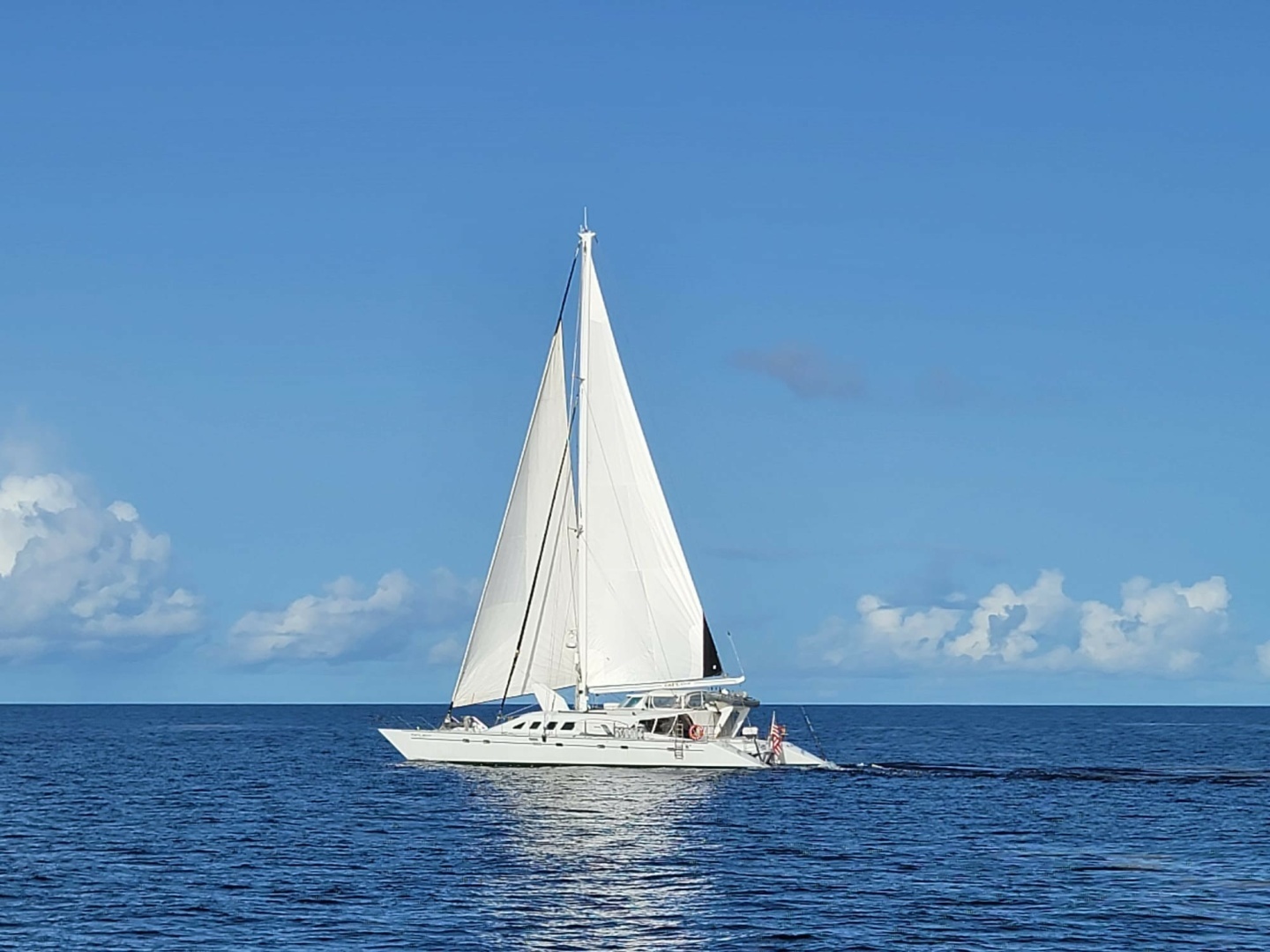 1988 Custom 78' Catamaran for Sale in Puerto Rico offered by Ward Yacht Sales