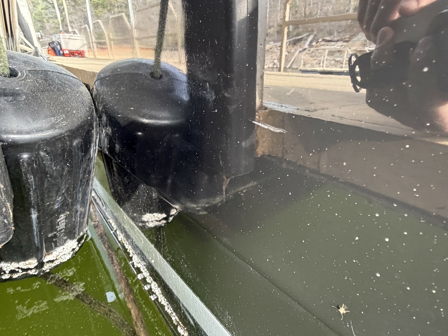 28ft Sea Ray Yacht For Sale