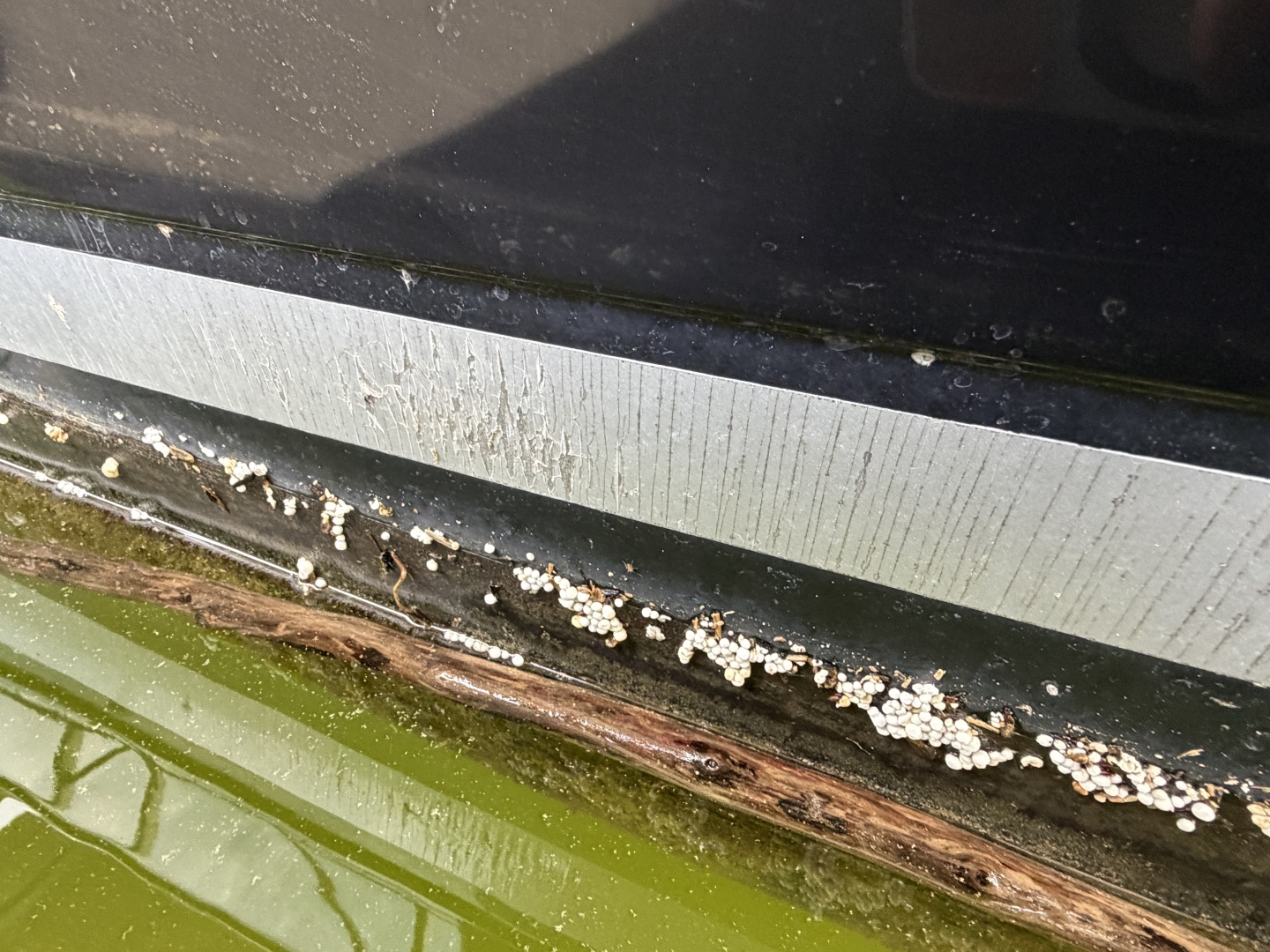 2009 Sea Ray 270 Sundancer