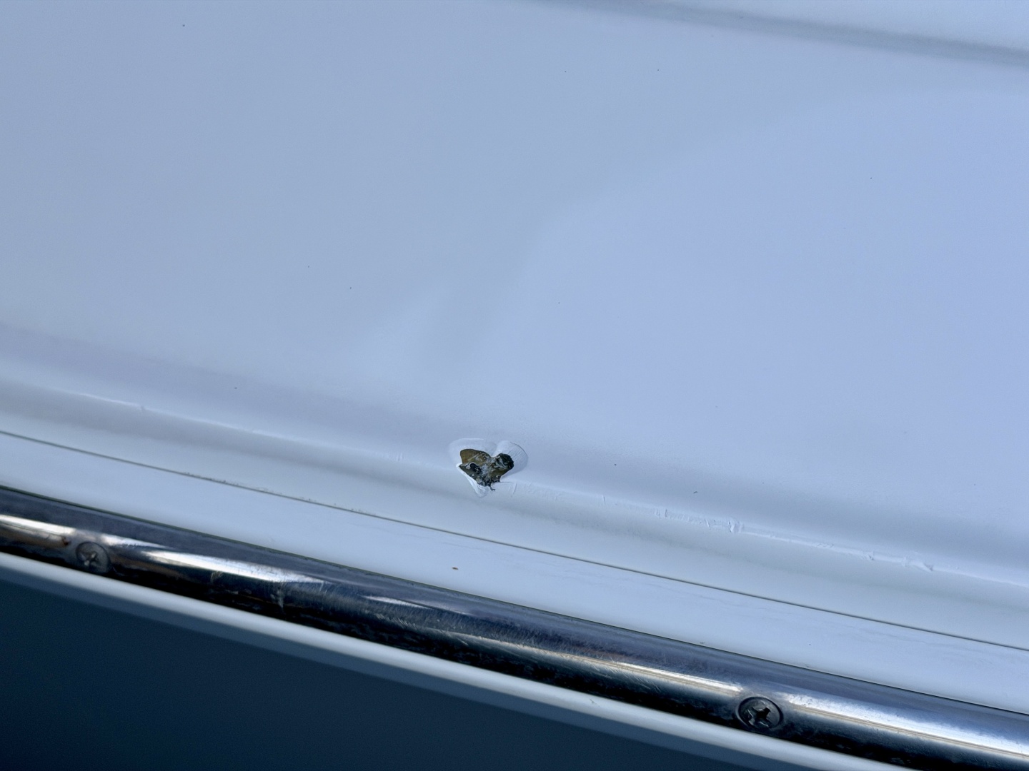 2008 Rinker 280 Express Cruiser