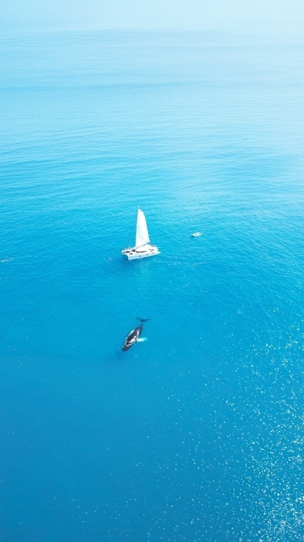 Perpetual Blue 57ft Fountaine Pajot Yacht For Sale