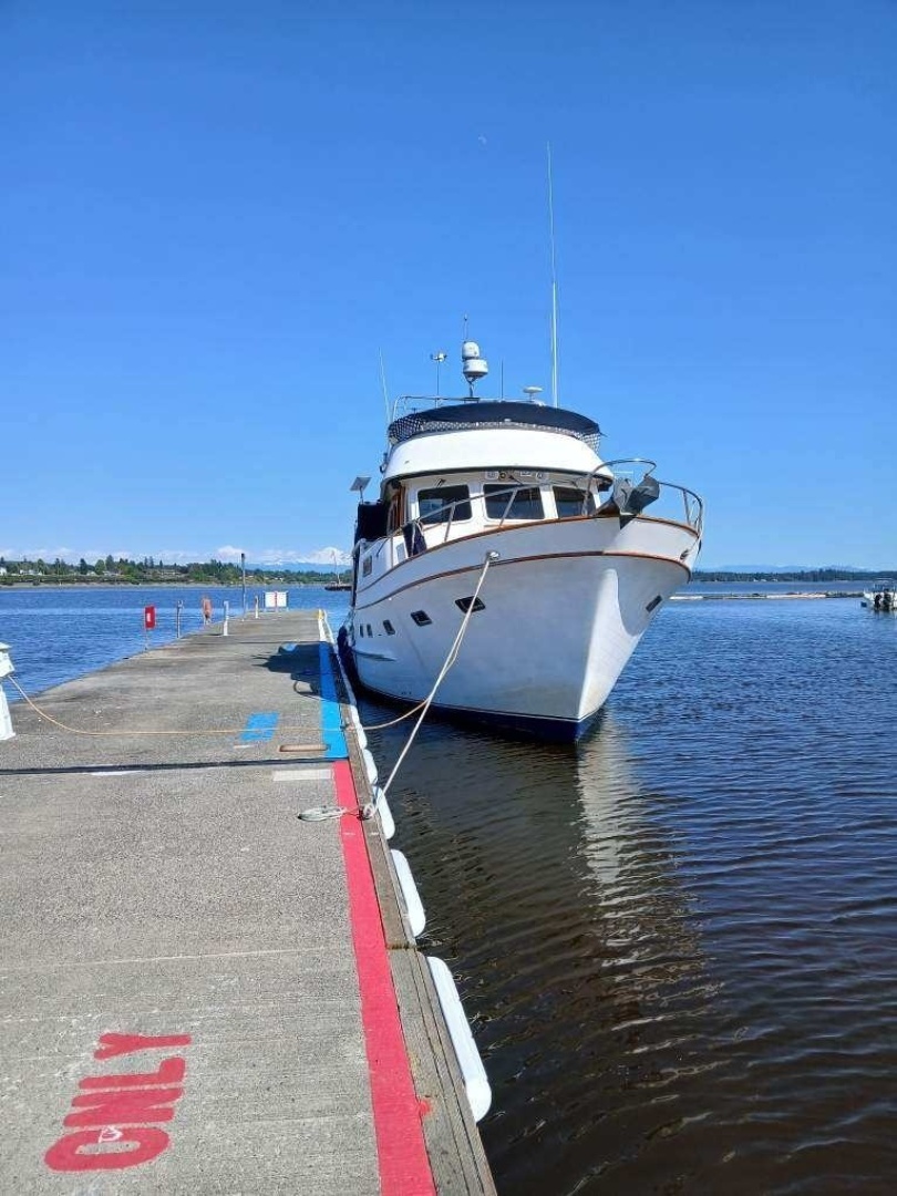 49' DeFever forward profile