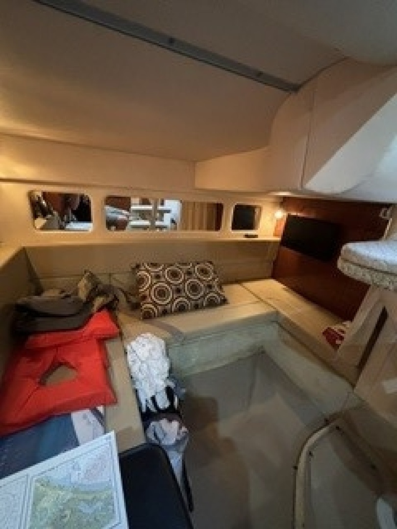 GAELIC STORM 31ft Sea Ray Yacht For Sale