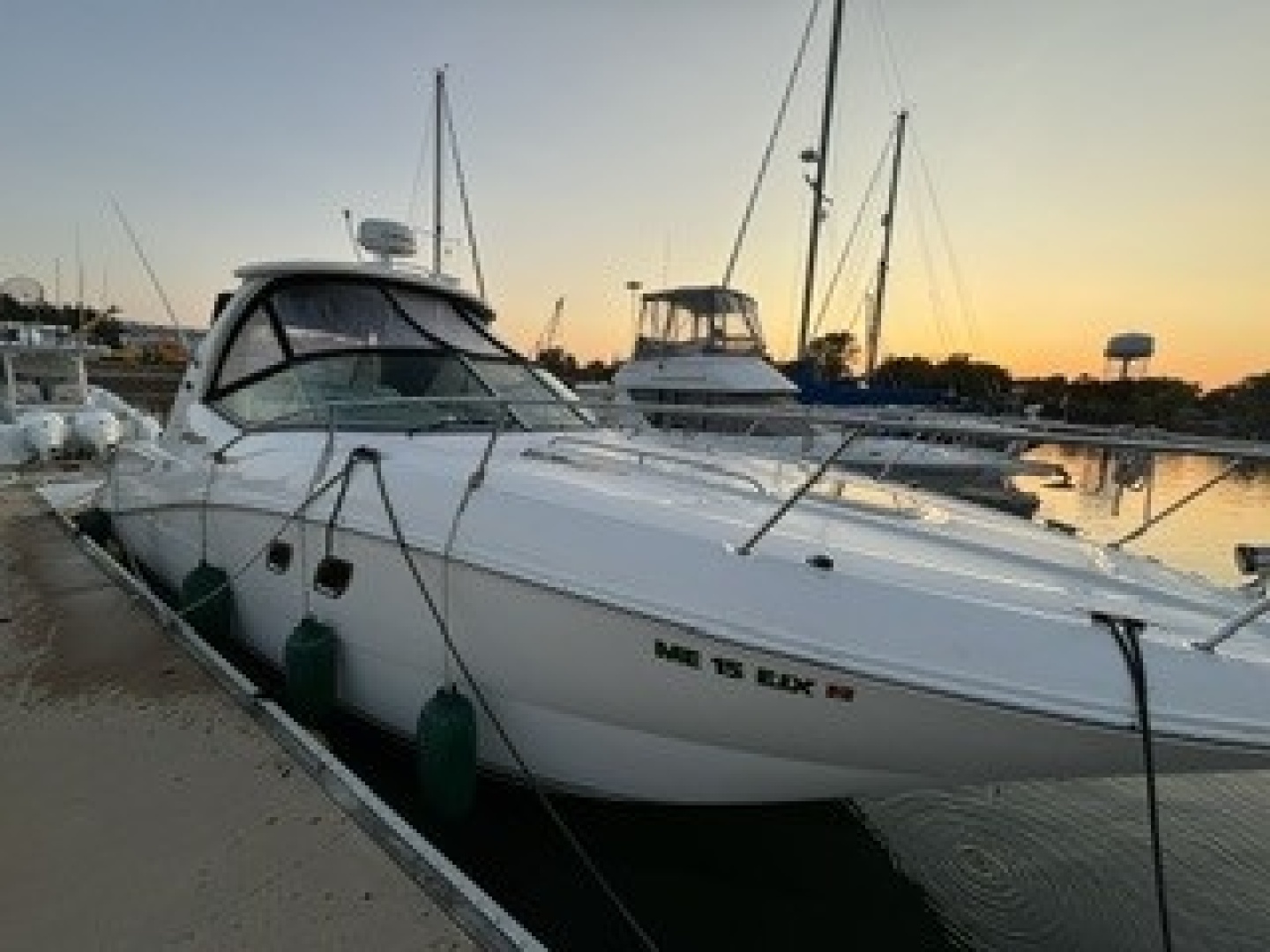 Dockside Bow