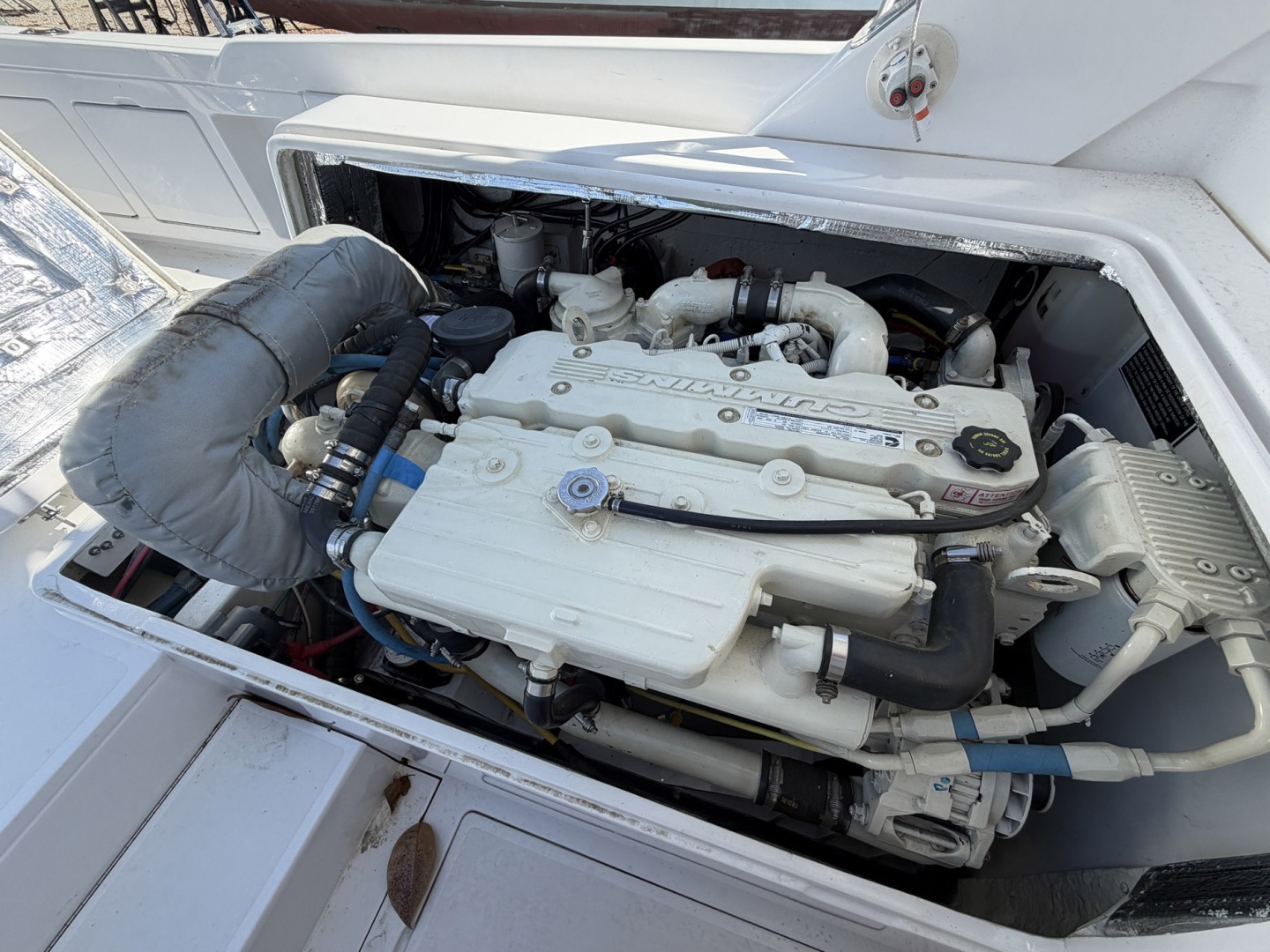 Mo Mo I 31ft Bertram Yacht For Sale