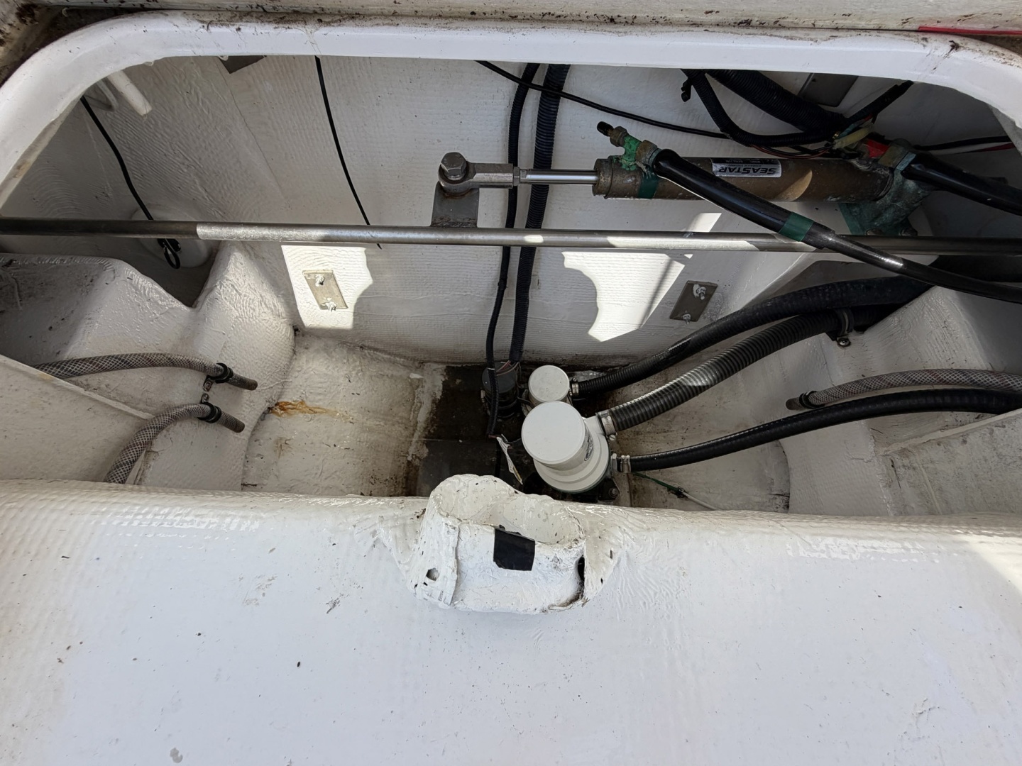 Mo Mo I 31ft Bertram Yacht For Sale