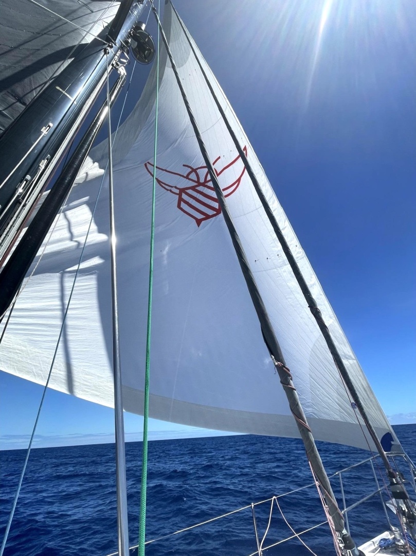 2014 Hylas 56