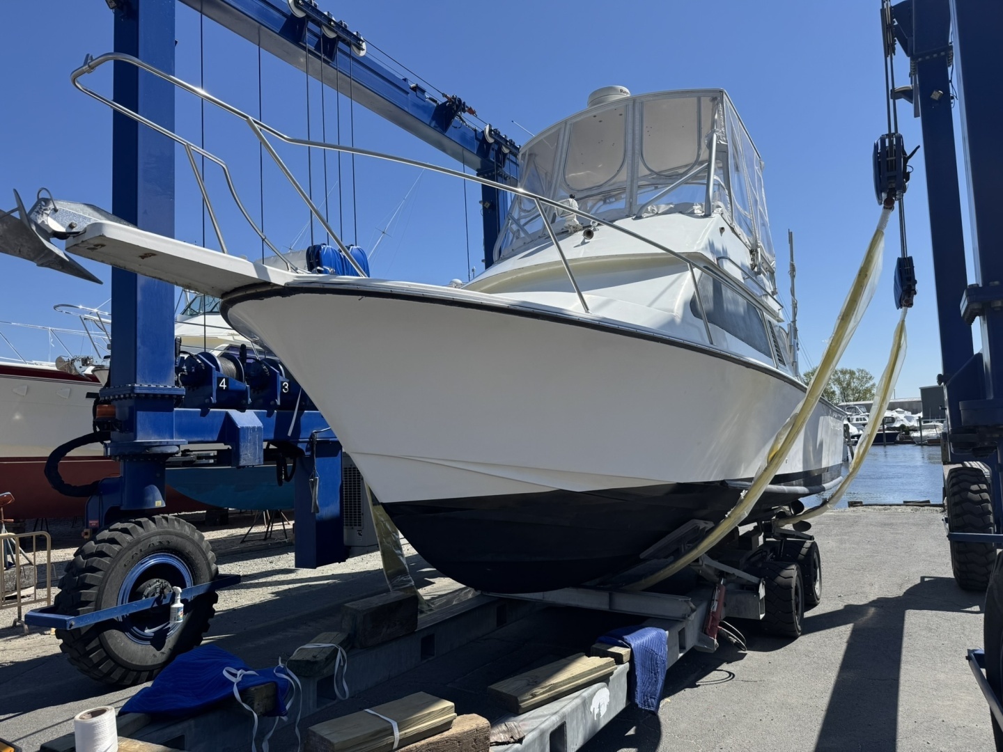 LEXI BRI 30ft Black Watch Yacht For Sale