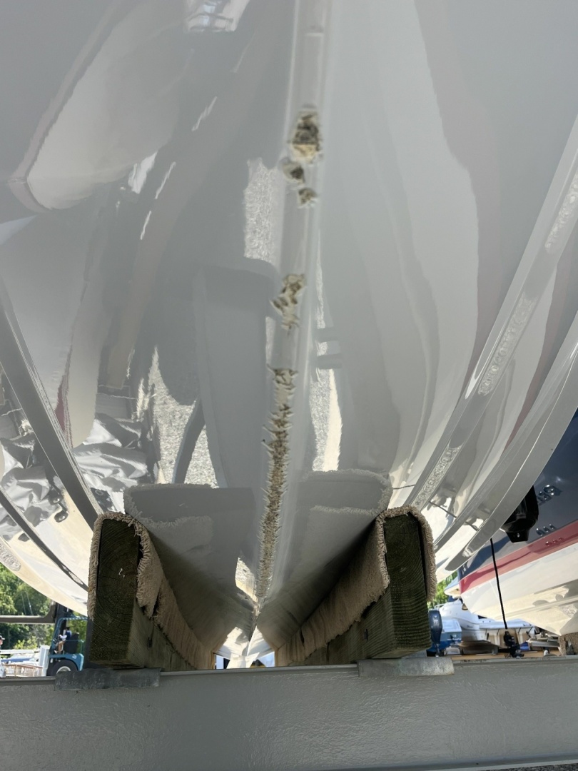 2024 Sailfish 245 DC