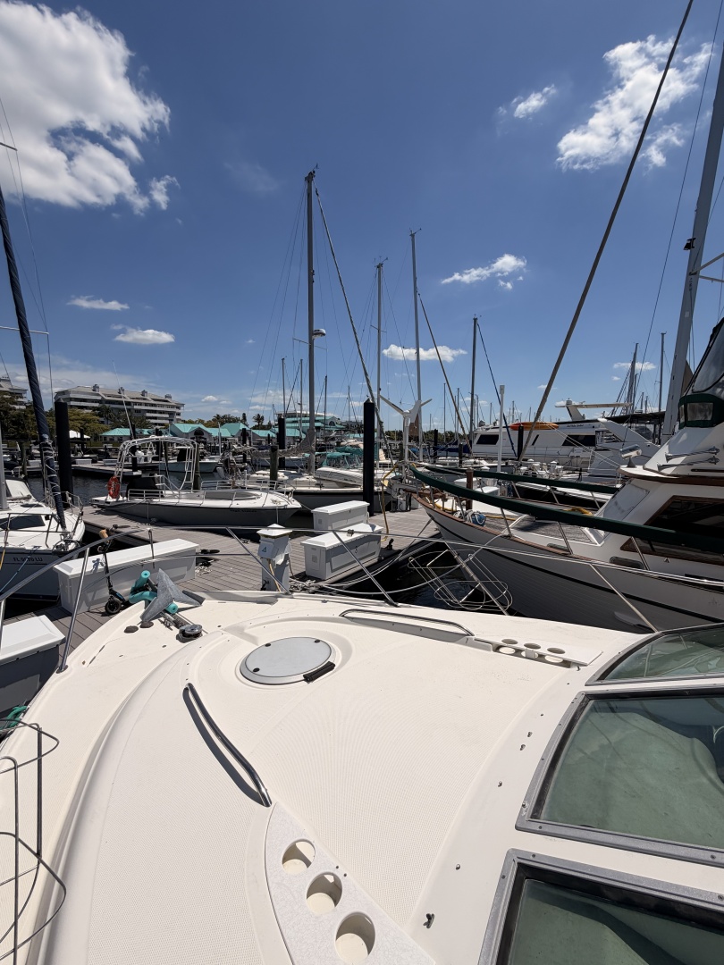 Nefertite 41ft Maxum Yacht For Sale